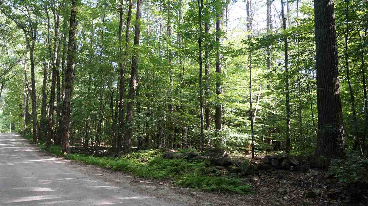 115.1 Winslow Road Weare, NH 03281 - Photo 3 of 8