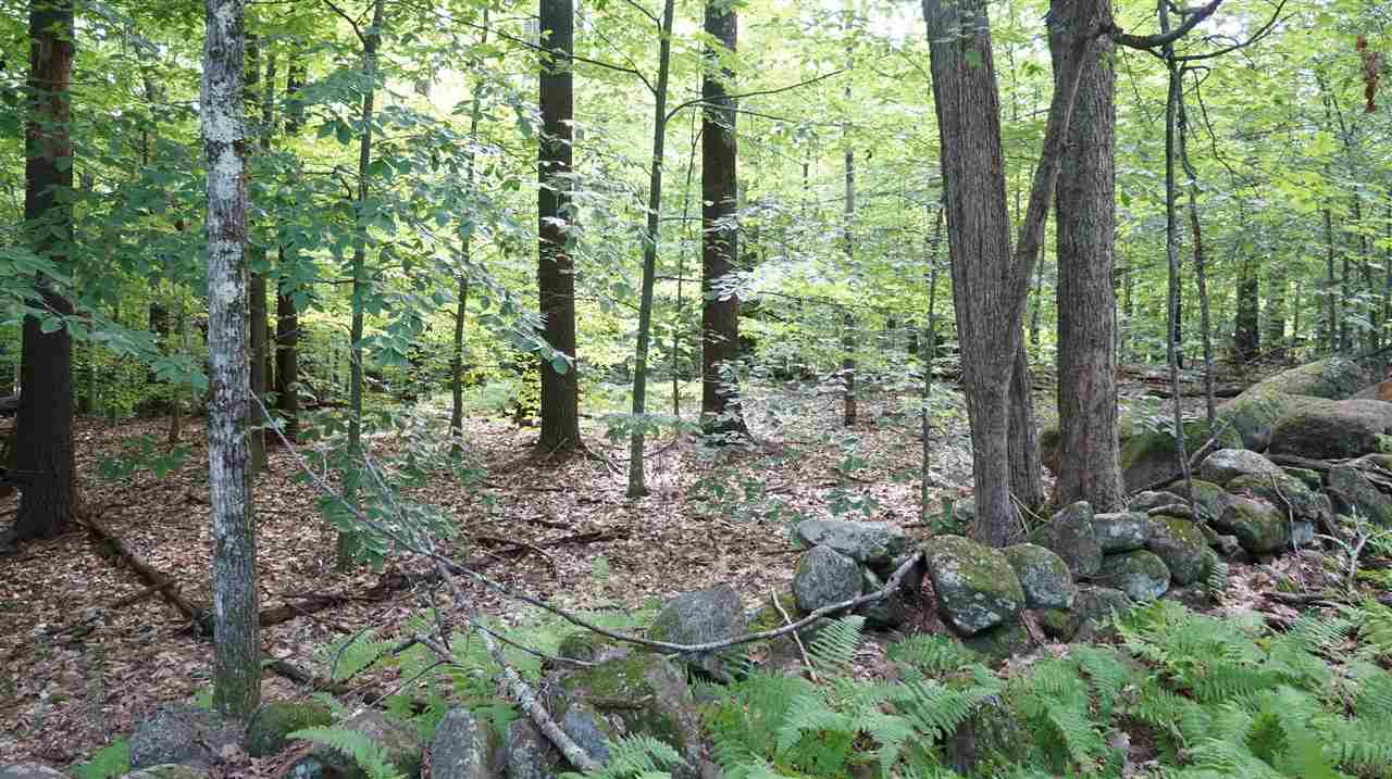 115.1 Winslow Road Weare, NH 03281 - Photo 4 of 8