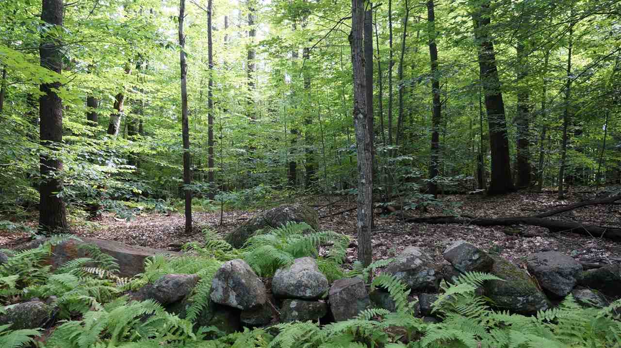 115.1 Winslow Road Weare, NH 03281 - Photo 5 of 8