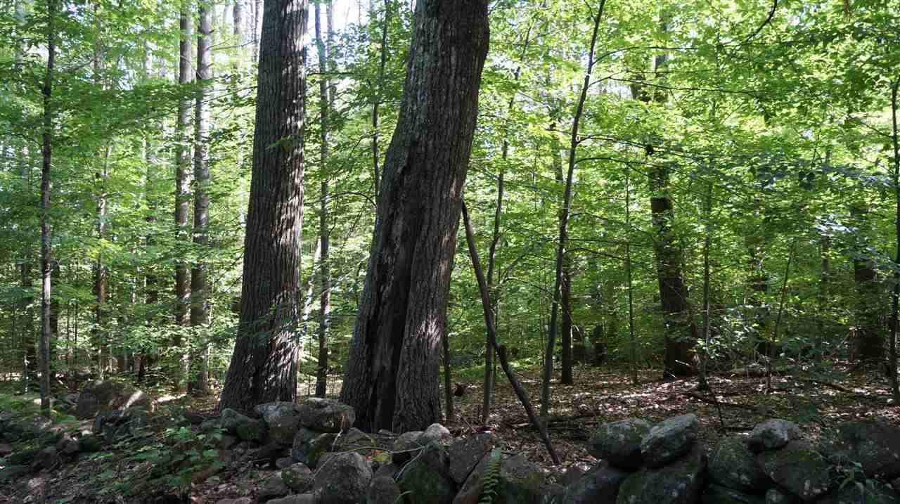 115.1 Winslow Road Weare, NH 03281 - Photo 6 of 8