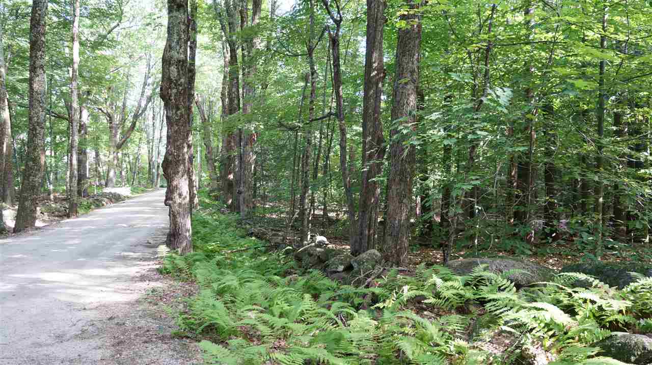 115.1 Winslow Road Weare, NH 03281 - Photo 8 of 8