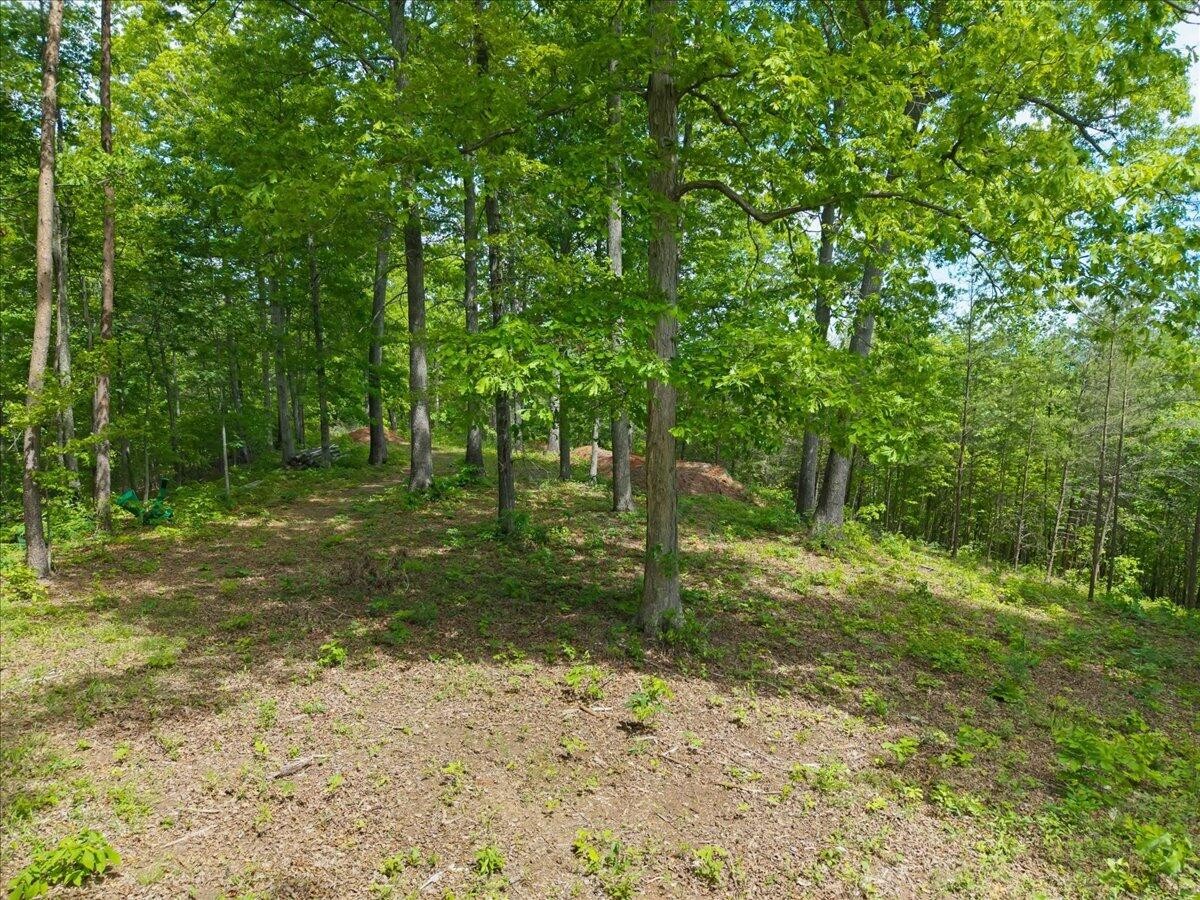 160 Riverside Drive Madisonville, TN 37354 - Photo 31 of 37 Gallery Image 31
