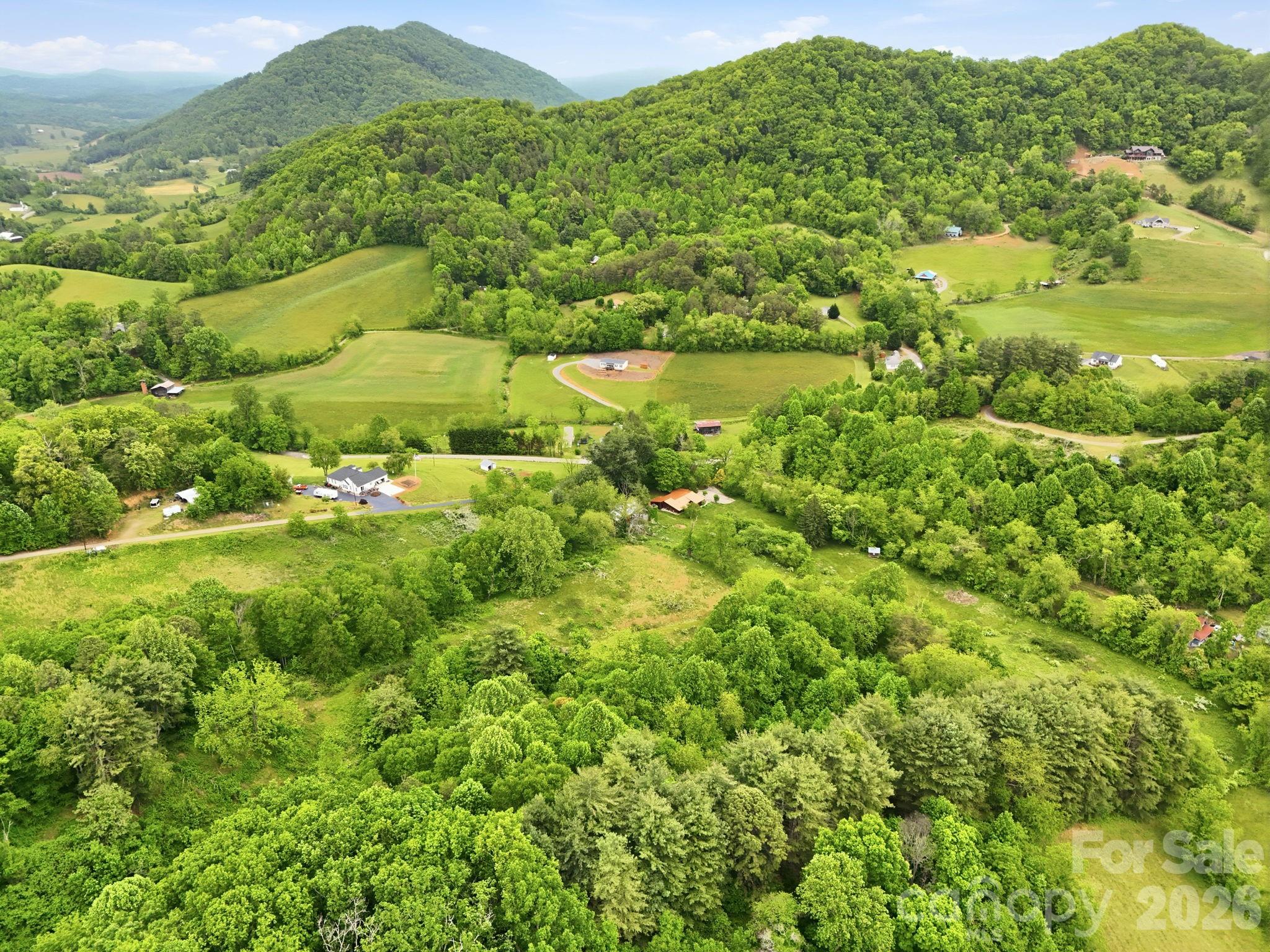 250 Potato Branch Road Leicester, NC 28748 - Photo 43 of 48