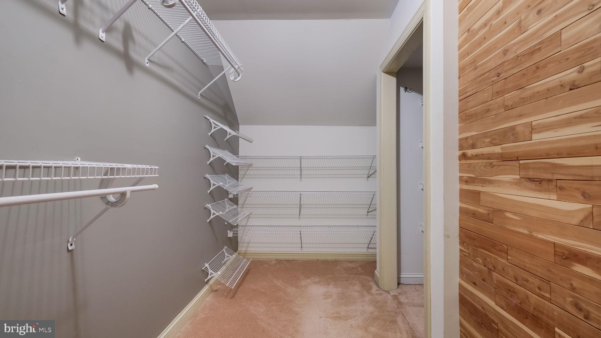 4700 Nottingham Way Doylestown, PA 18902 - Photo 25 of 40 Primary Closet