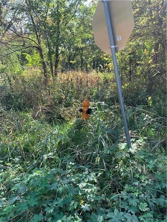 $38,500 | 9707 East Wilson Road, Independence, MO 64053