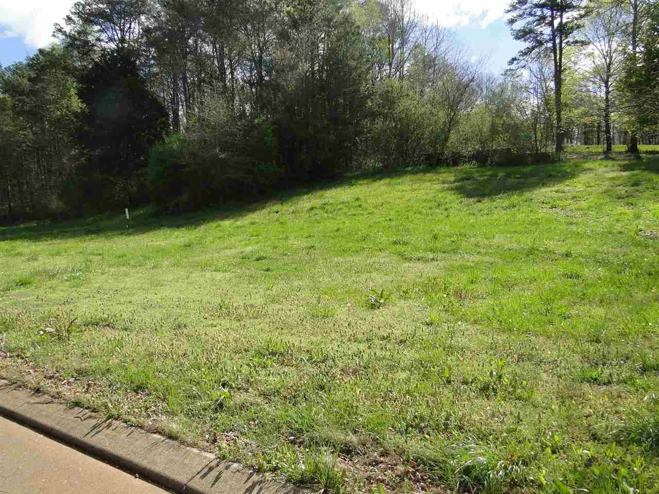 0 New Englewood Road Athens, TN 37303 - Photo 2 of 5