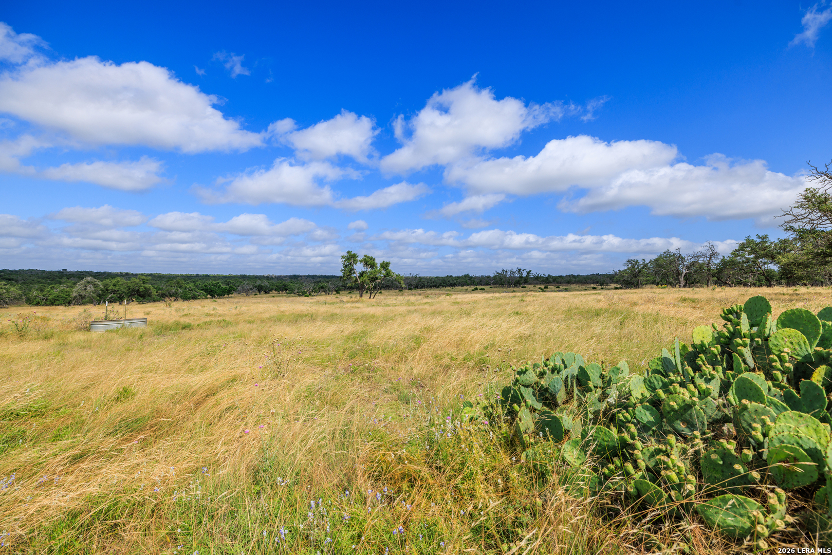 436 Stevens Ranch Harper, TX 78631 - Photo 25 of 29 Gallery Image 25