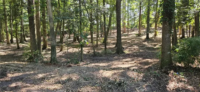 $117,500 | Lot 12 Thornehill Drive, Anderson, SC 29621