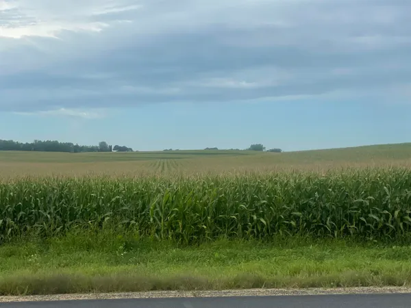 $3,900,000 | 60 Arlington Wi 53555, Lodi, WI 53555