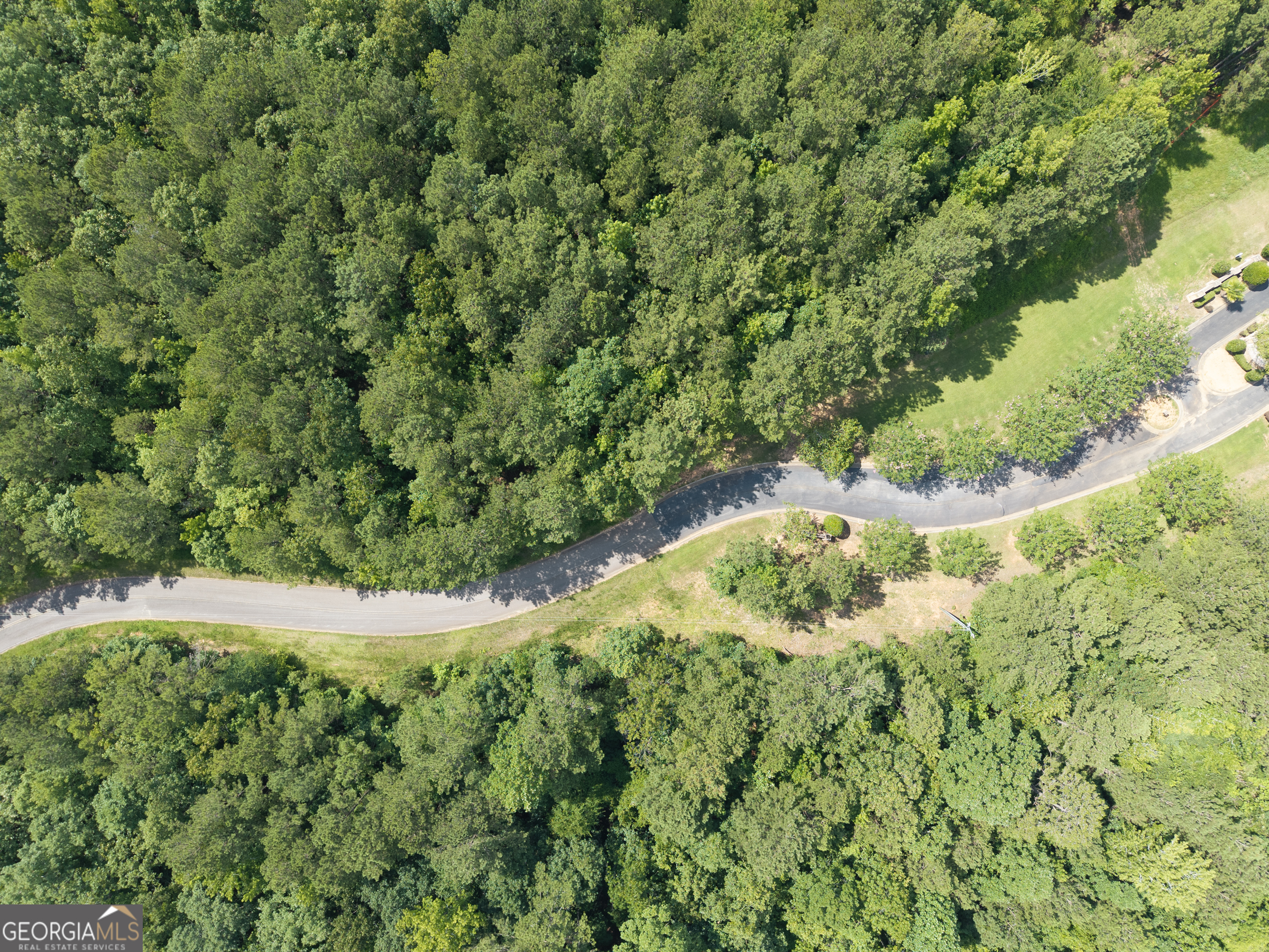 32 Eagle Pointe Court Augusta, GA 30909 - Photo 11 of 15 a view of flowers in middle of green field