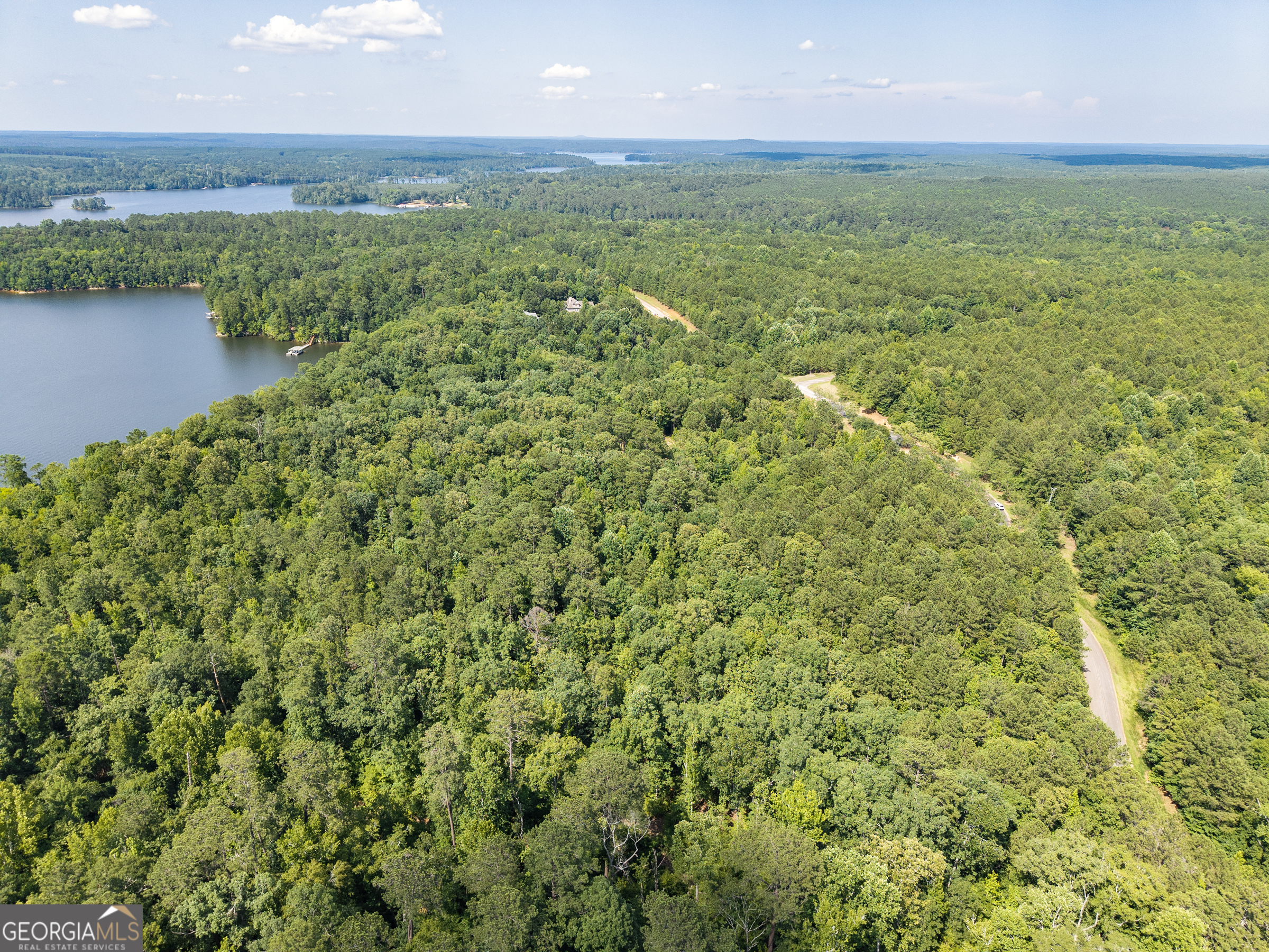 32 Eagle Pointe Court Augusta, GA 30909 - Photo 12 of 15 a view of a lake with a yard