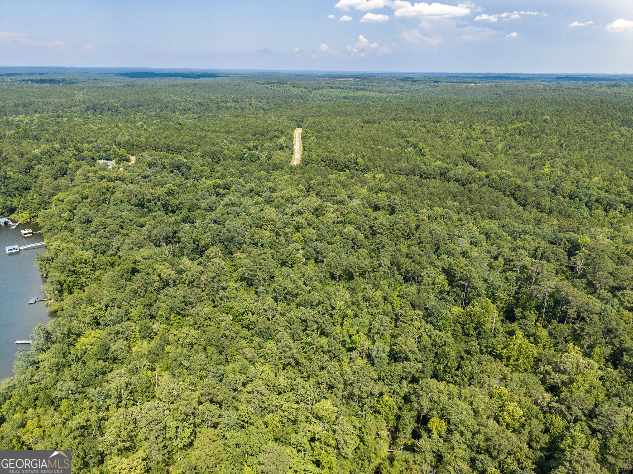 32 Eagle Pointe Court Augusta, GA 30909 - Photo 13 of 15 a view of a field with an outdoor space