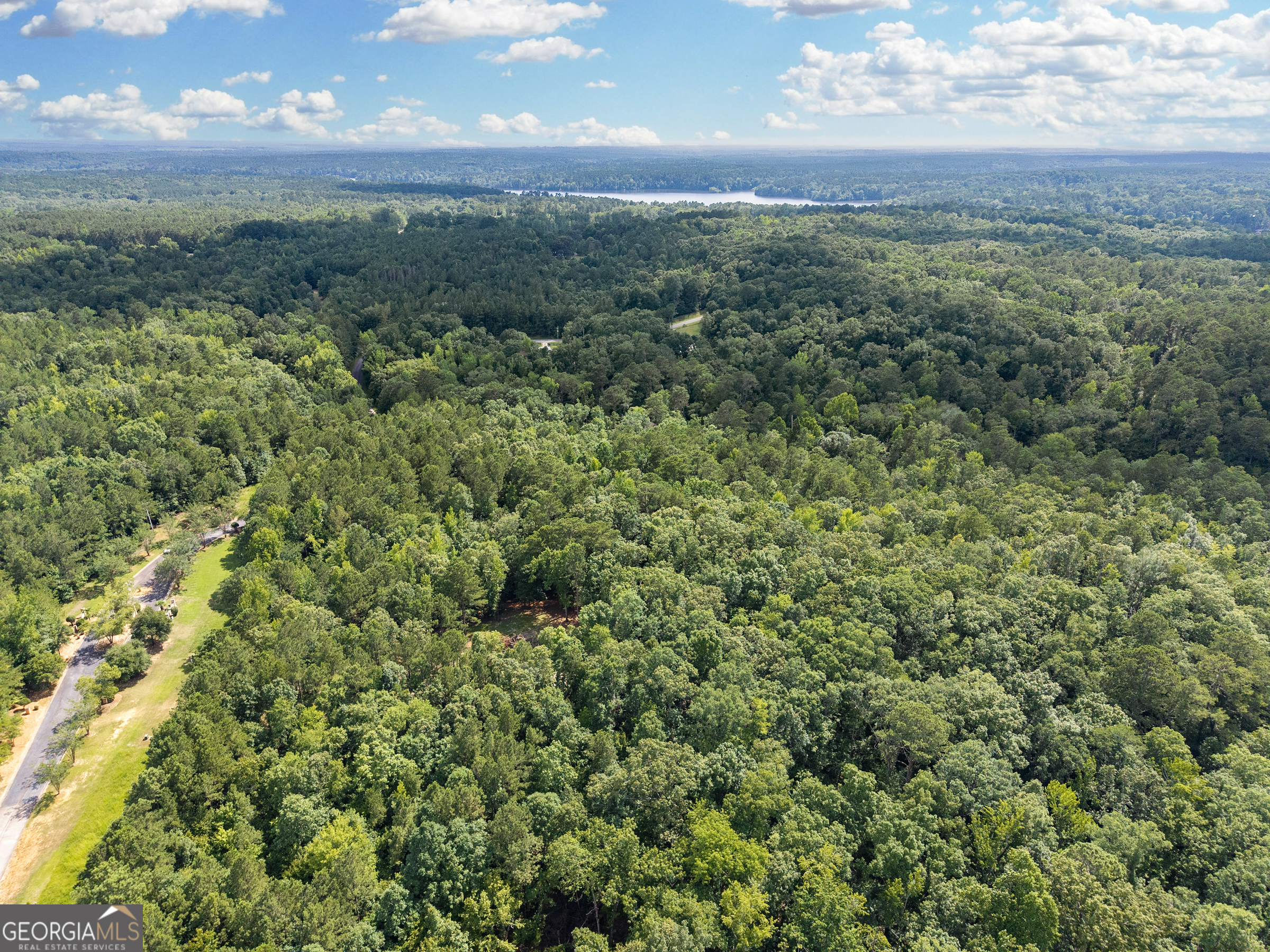 32 Eagle Pointe Court Augusta, GA 30909 - Photo 14 of 15 a view of a yard with an outdoor space