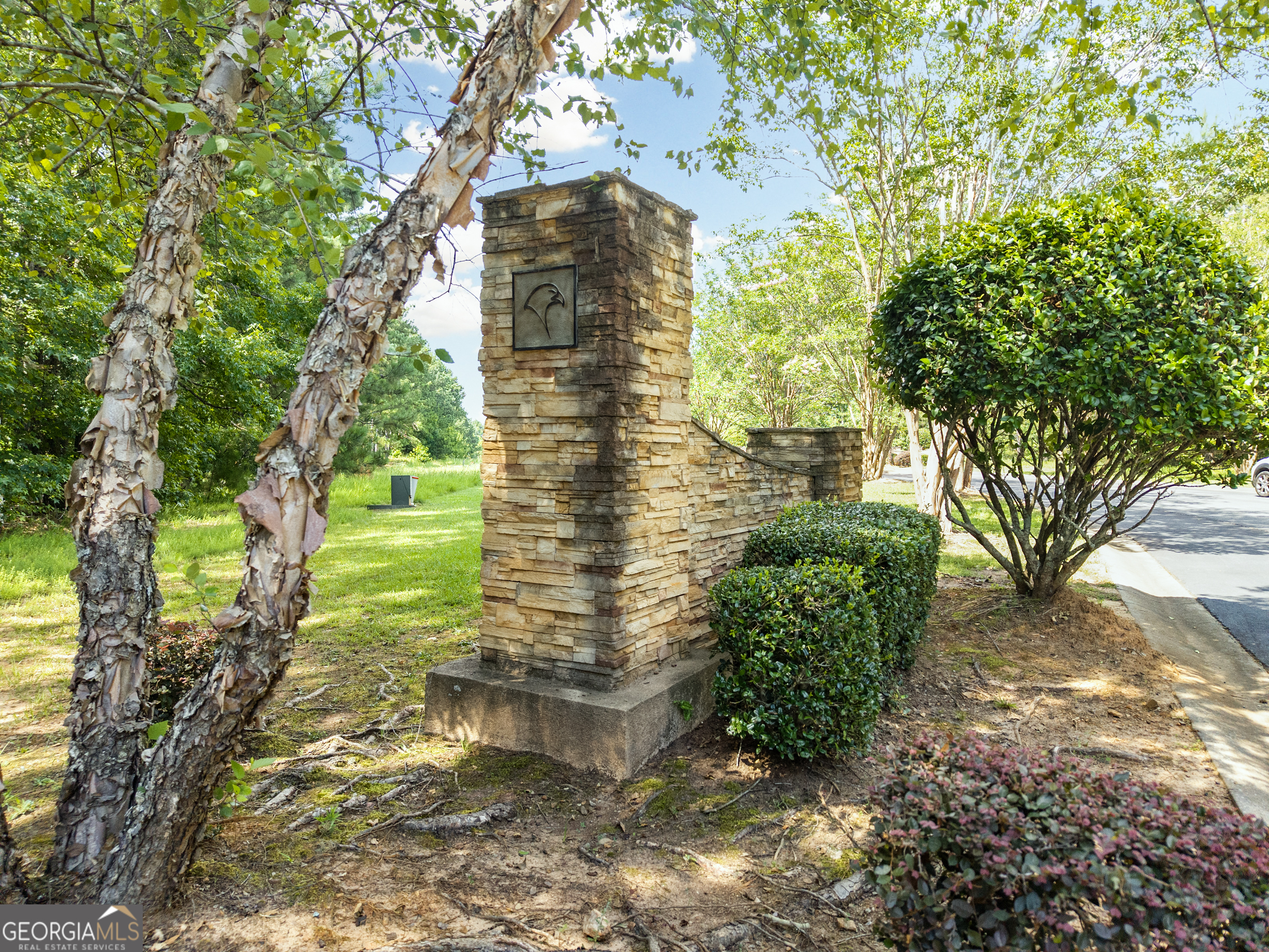 32 Eagle Pointe Court Augusta, GA 30909 - Photo 15 of 15 a view of a yard with plants and a large tree