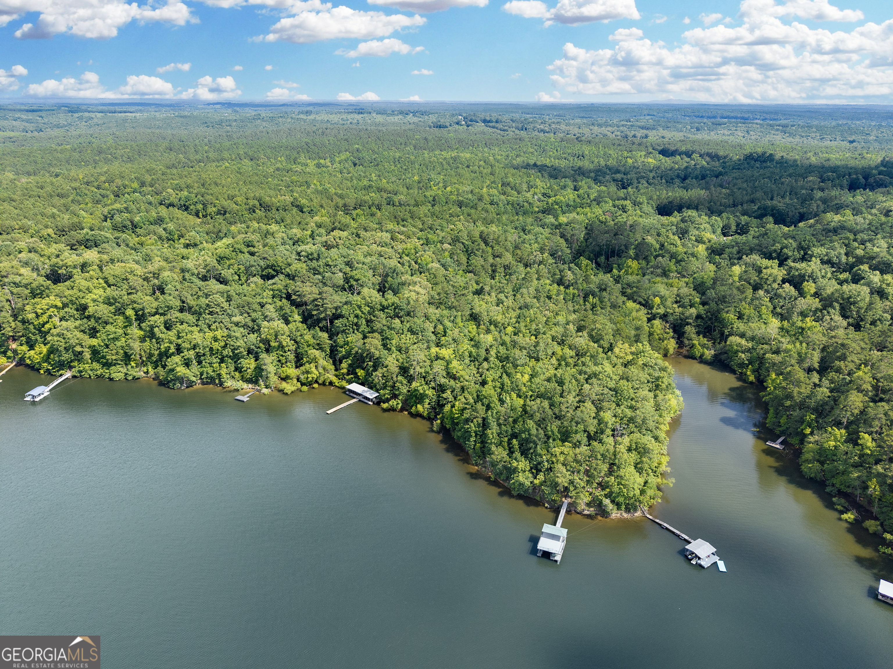 32 Eagle Pointe Court Augusta, GA 30909 - Photo 3 of 15 a view of a garden with an empty space