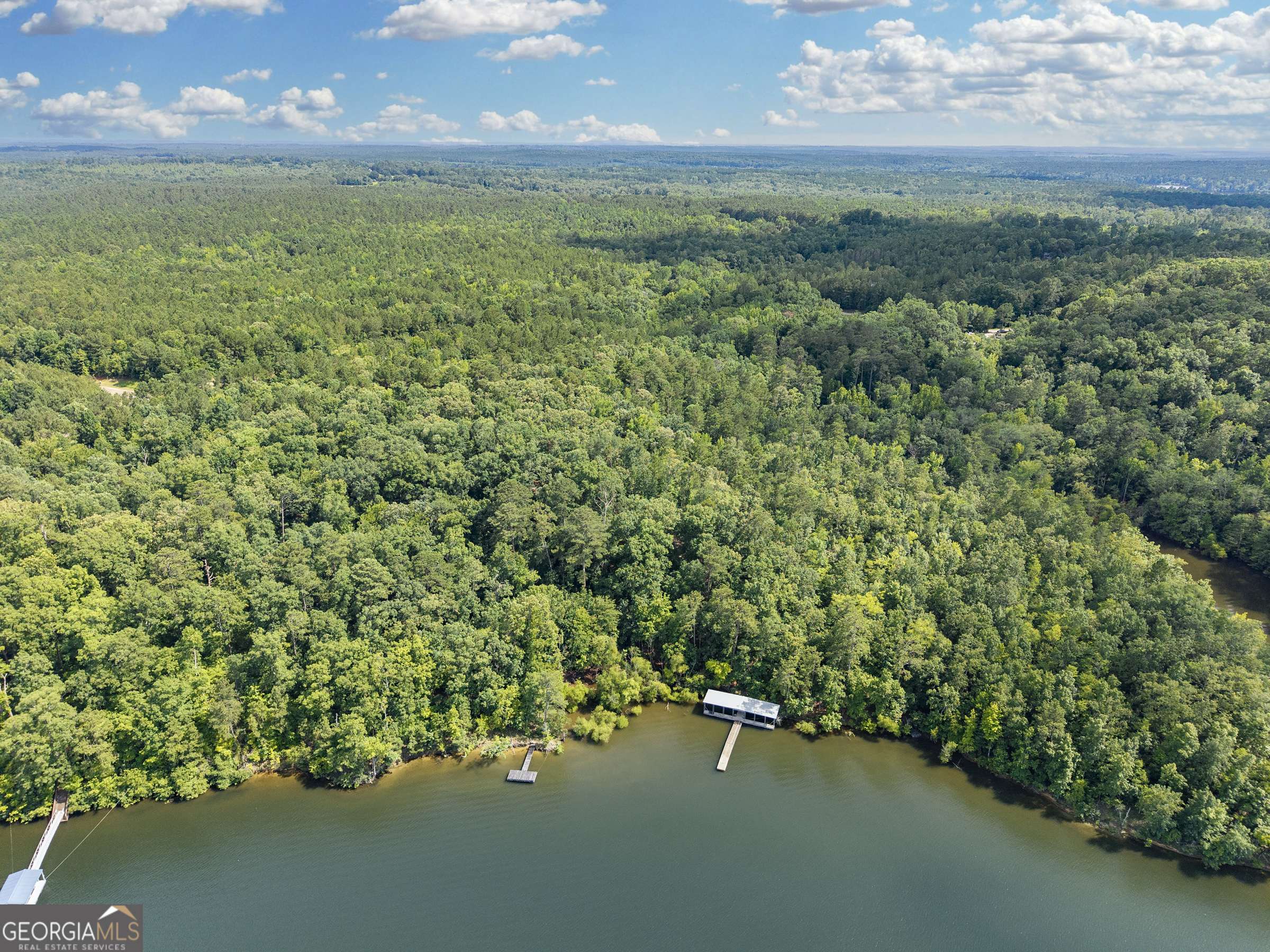 32 Eagle Pointe Court Augusta, GA 30909 - Photo 4 of 15 a view of a lake with a yard