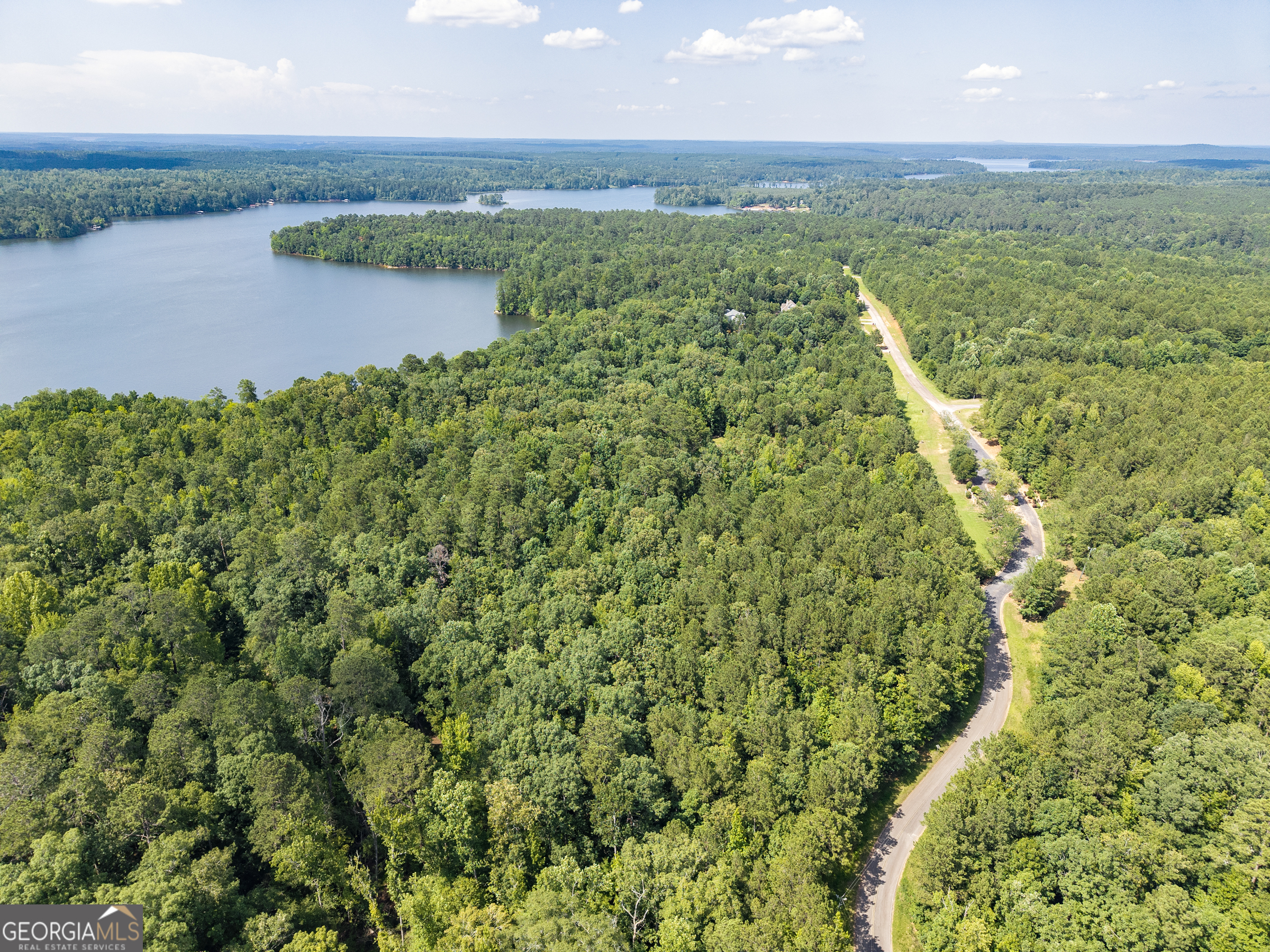 32 Eagle Pointe Court Augusta, GA 30909 - Photo 5 of 15 a view of a lake from a yard