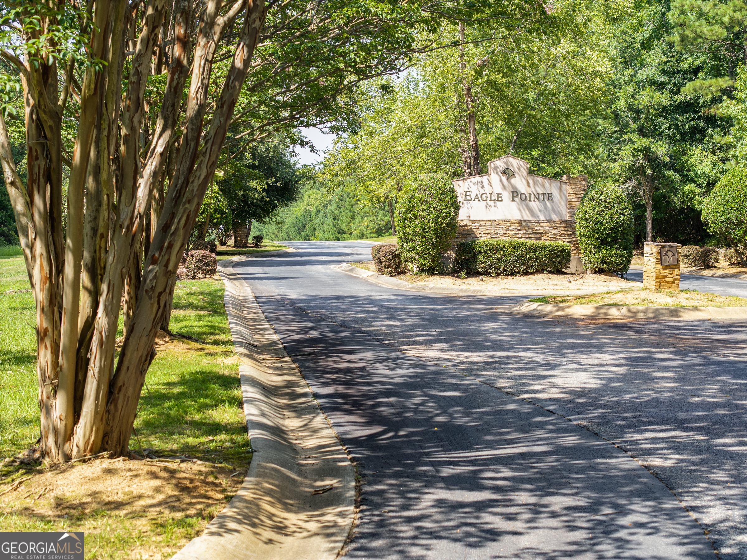 32 Eagle Pointe Court Augusta, GA 30909 - Photo 7 of 15 a view of a yard with plants and trees