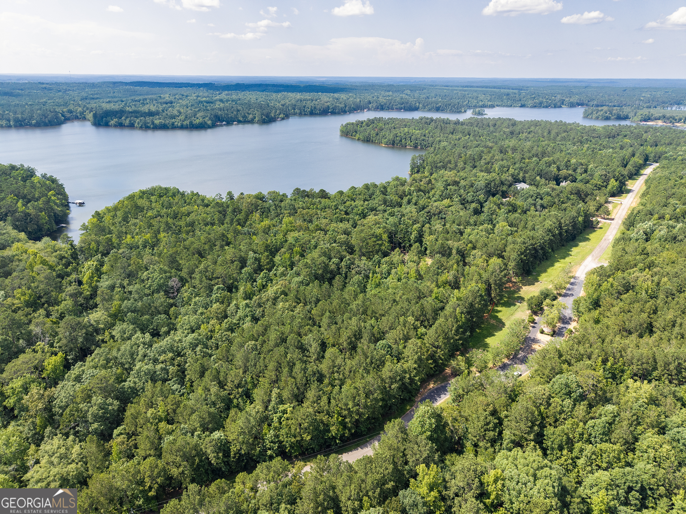 32 Eagle Pointe Court Augusta, GA 30909 - Photo 9 of 15 an aerial view of a residential houses with outdoor space and lake view