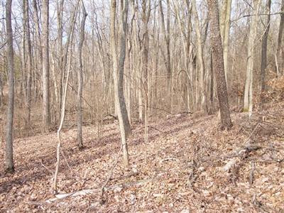 0 Rifle Range Road Alexandria, KY 41001 - Photo 6 of 7 Gallery Image 6