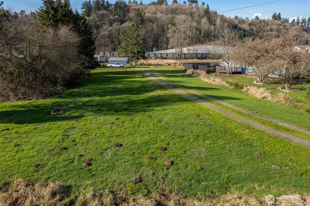 a view of a park with large trees