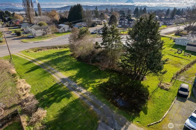 a view of a yard with plants