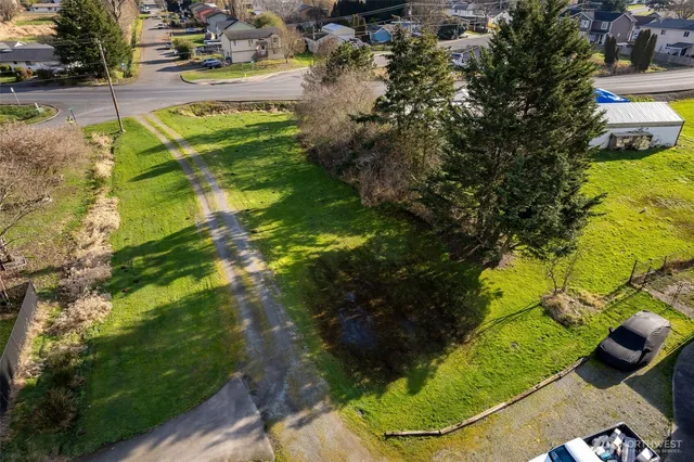 a view of a yard with plants