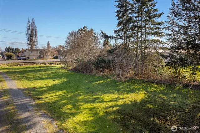 a garden with trees in the background