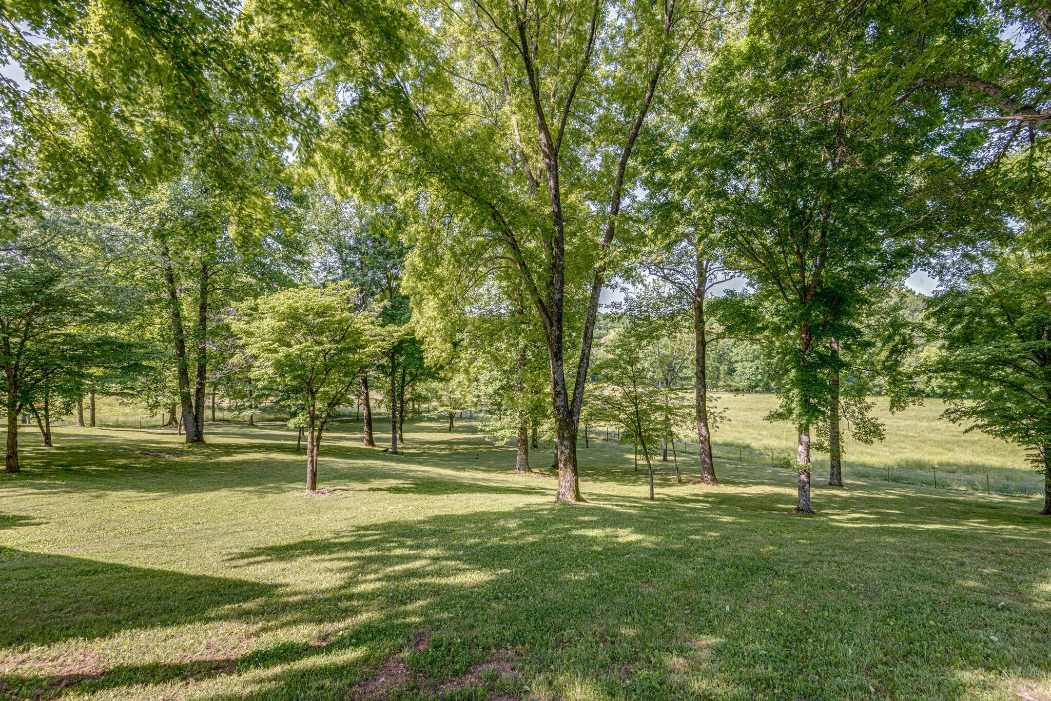 1880 Tom Brown Road McEwen, TN 37101 - Photo 39 of 54 view of front yard