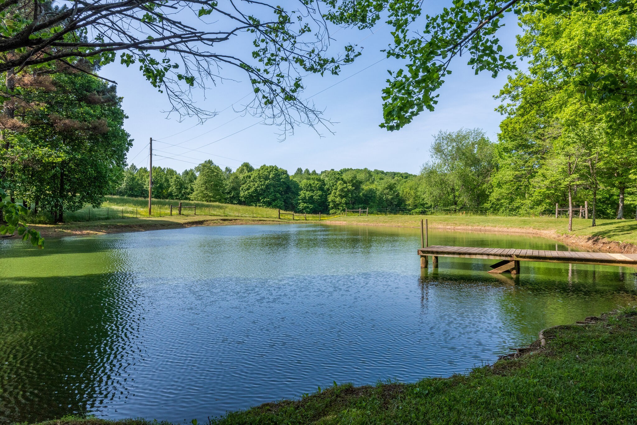 1880 Tom Brown Road McEwen, TN 37101 - Photo 40 of 54 Pond with dock and concrete pad for future outdoor kitchen or fire pit