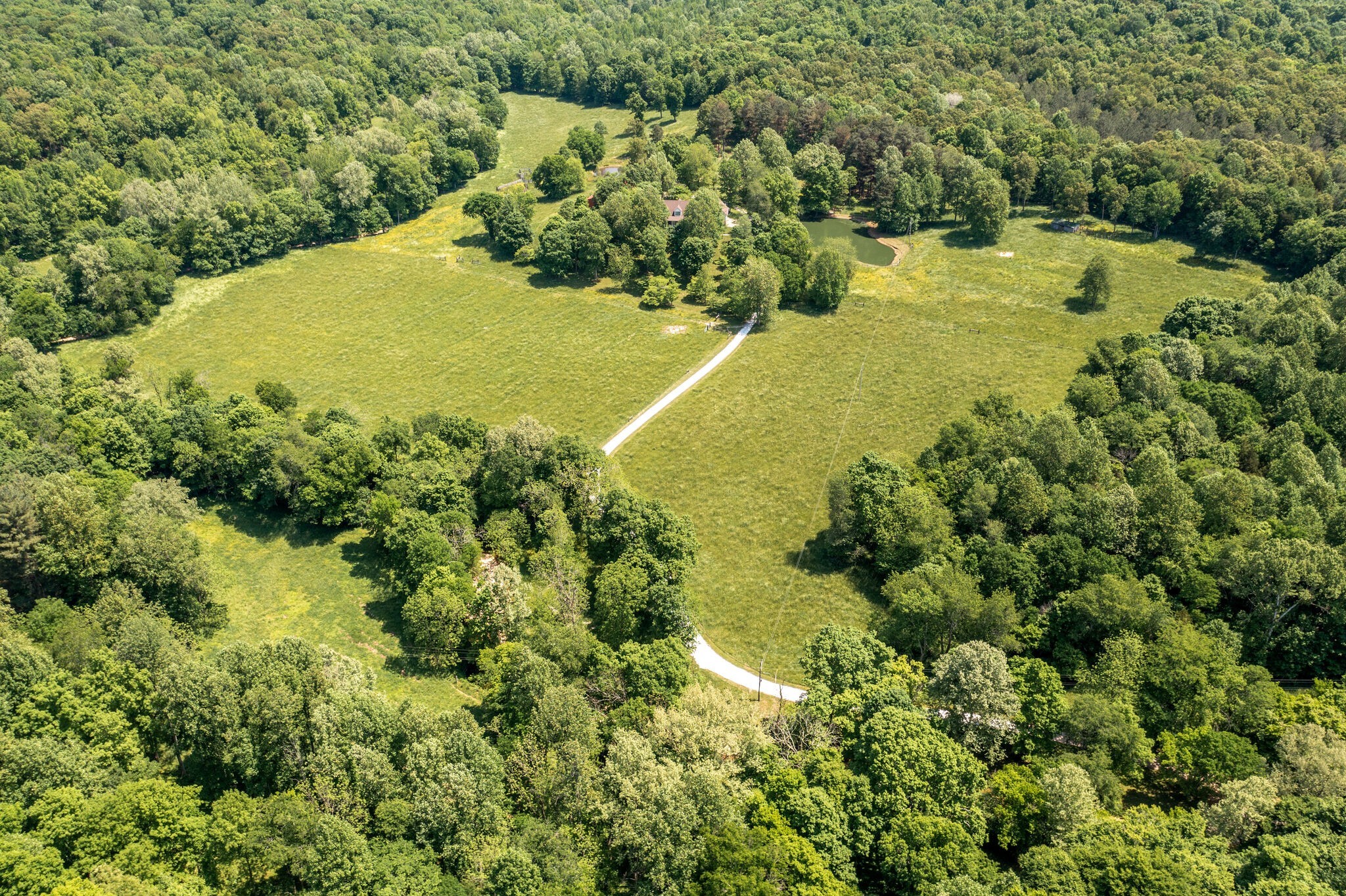 1880 Tom Brown Road McEwen, TN 37101 - Photo 41 of 54 aerial view of front pastures and drive way. Home cannot be seen from the road
