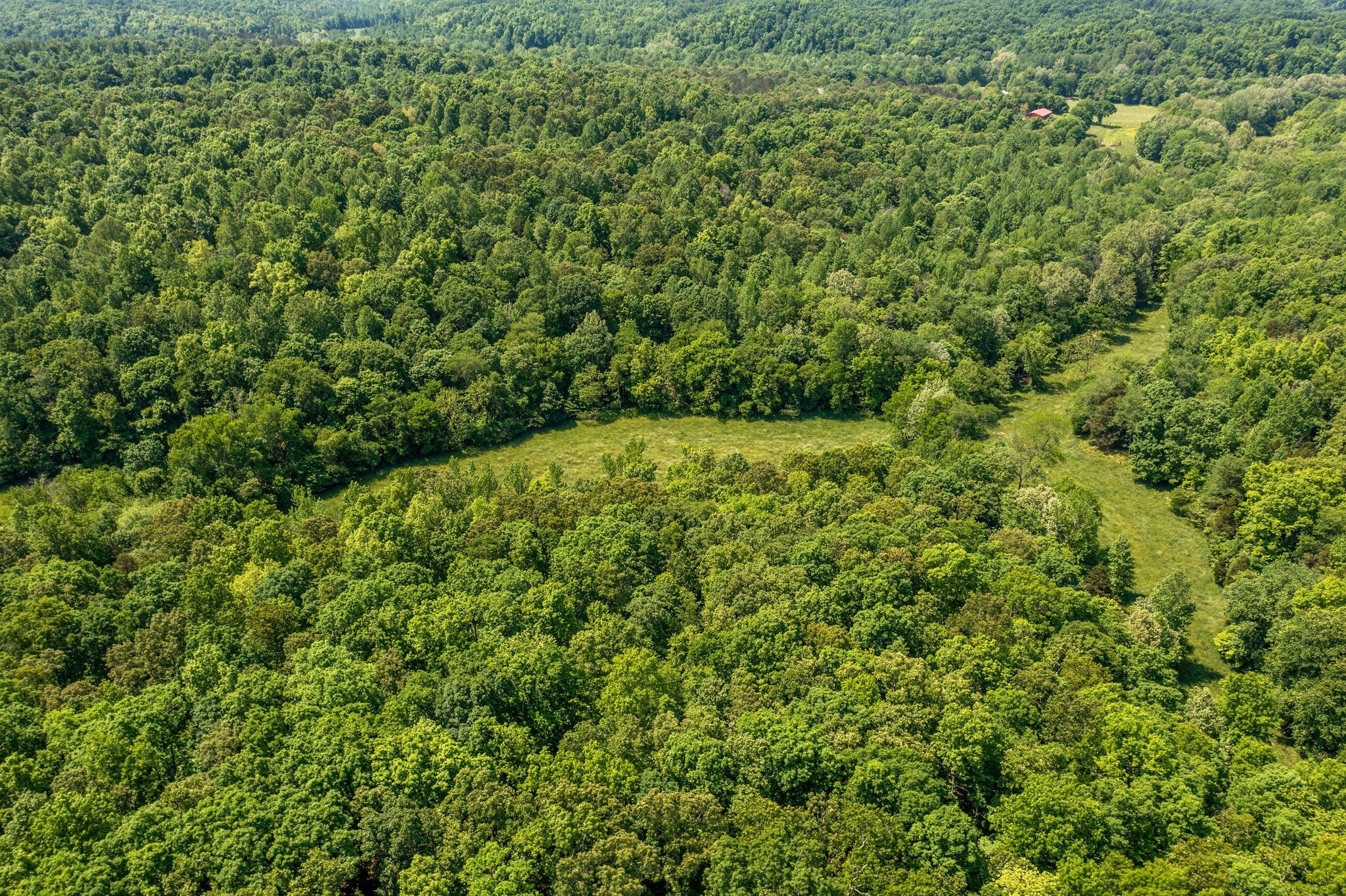 1880 Tom Brown Road McEwen, TN 37101 - Photo 50 of 54 Aerial view of the 192 acres