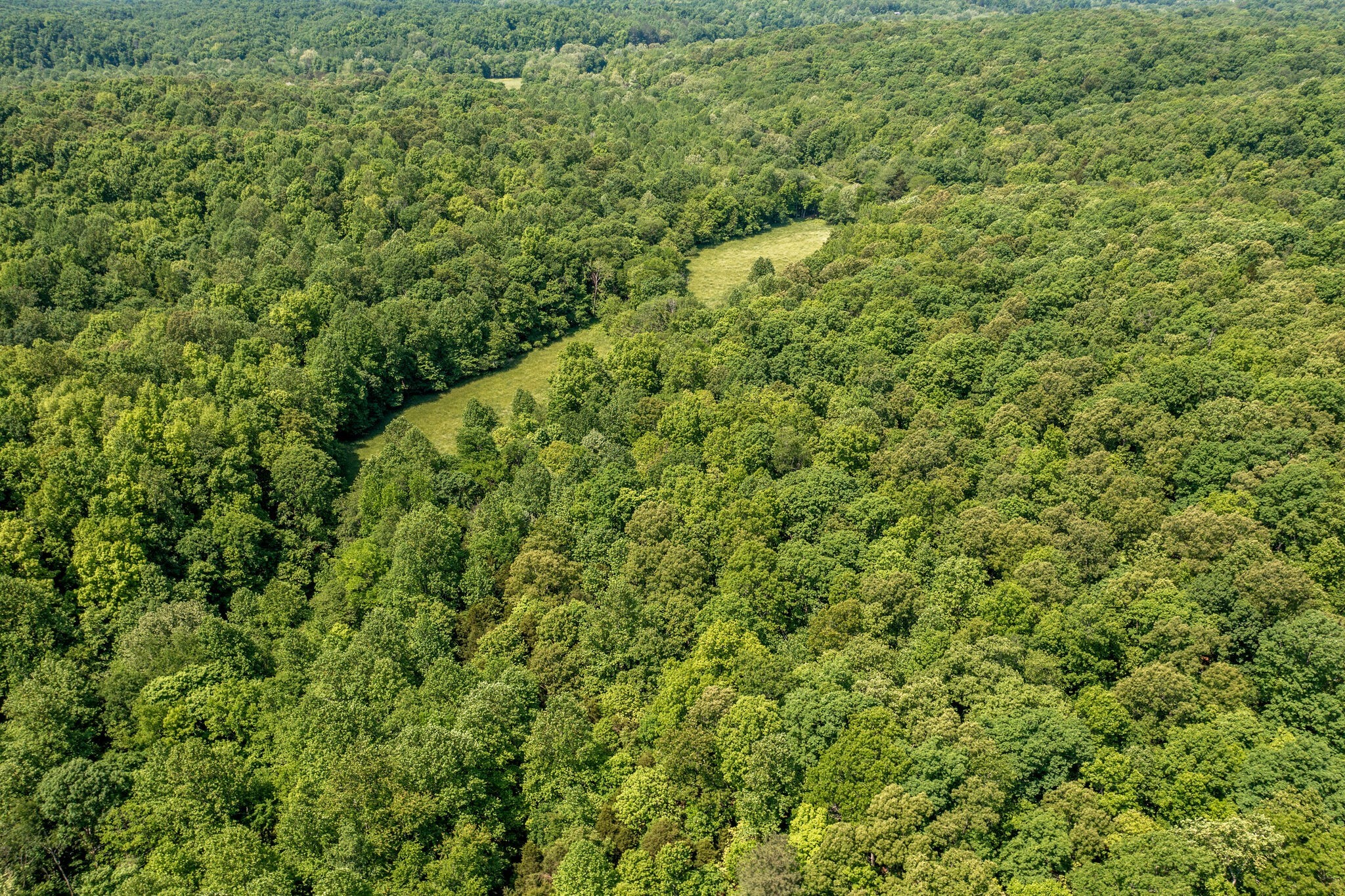 1880 Tom Brown Road McEwen, TN 37101 - Photo 51 of 54 Gallery Image 51
