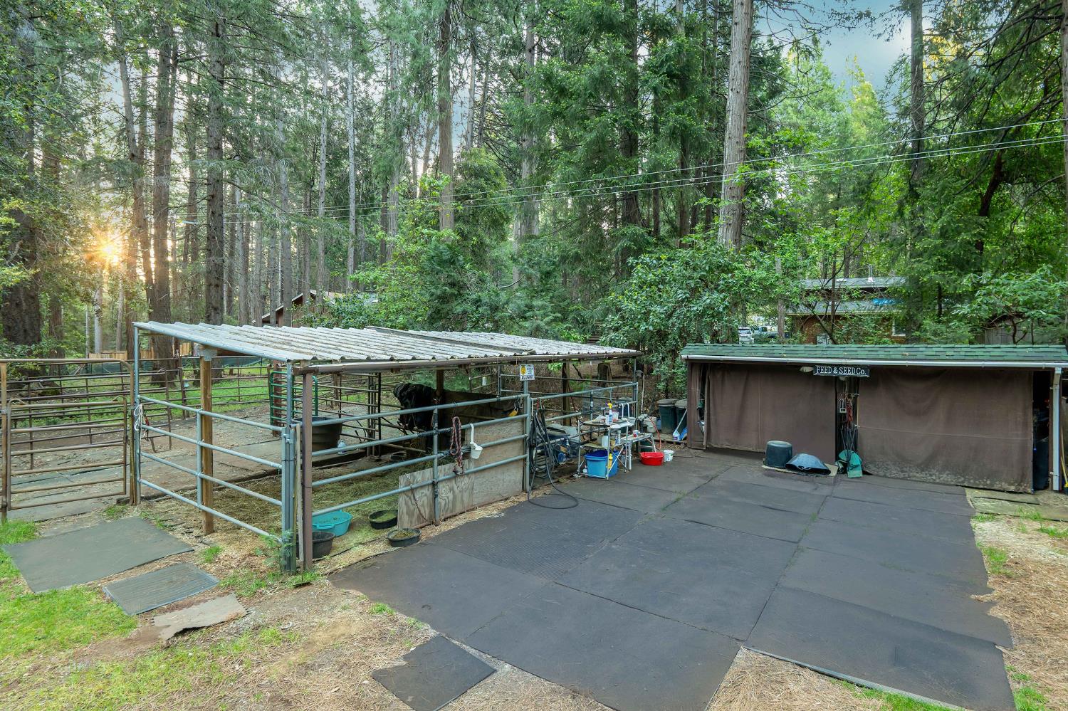 15188 North Bloomfield Road Nevada City, CA 95959 - Photo 45 of 73