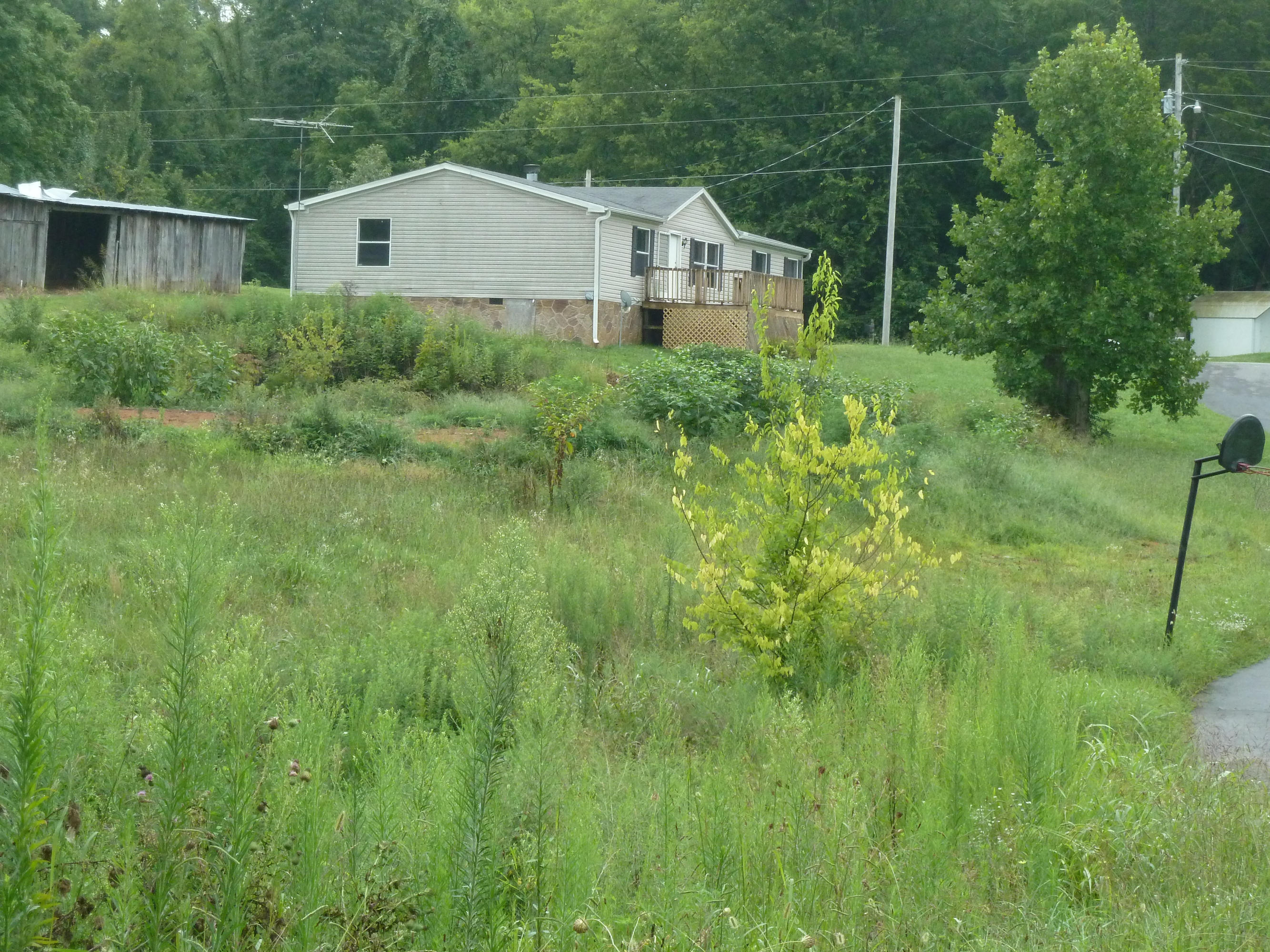 4310 Diamond Valley Road Kodak, TN 37764 - Photo 24 of 24 P1130343