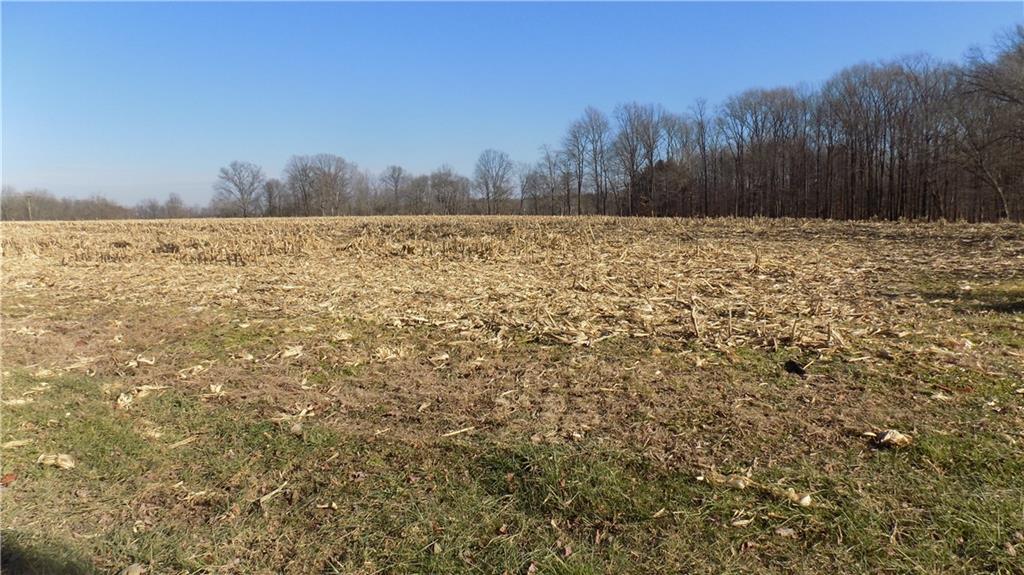0 Locust Lake Road West Spencer, IN 47460 - Photo 3 of 3 Gallery Image 3