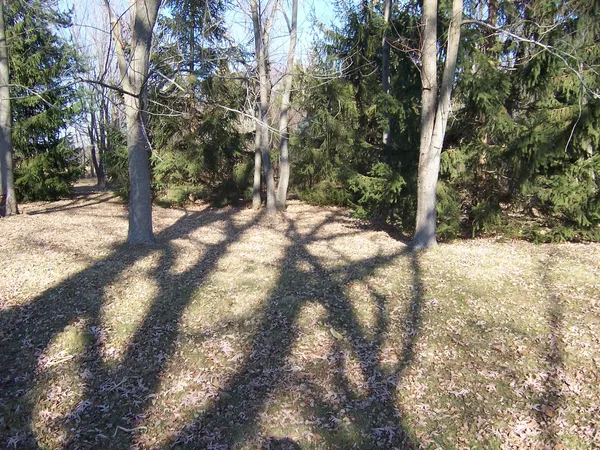 $590,000 | 47 Hwy Maple Park, Maple Park, IL 60151