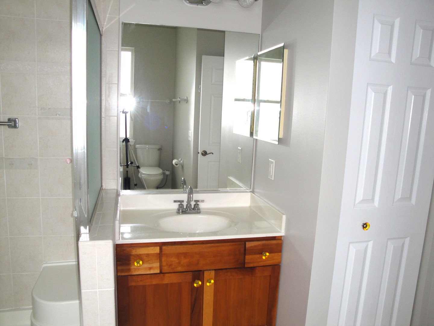 710 Mecosta Lane Romeoville, IL 60446 - Photo 14 of 31 Gallery Image 14