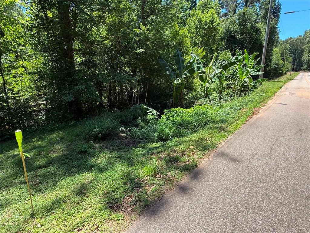 0 Lakeshore Road Martin, GA 30557 - Photo 4 of 11