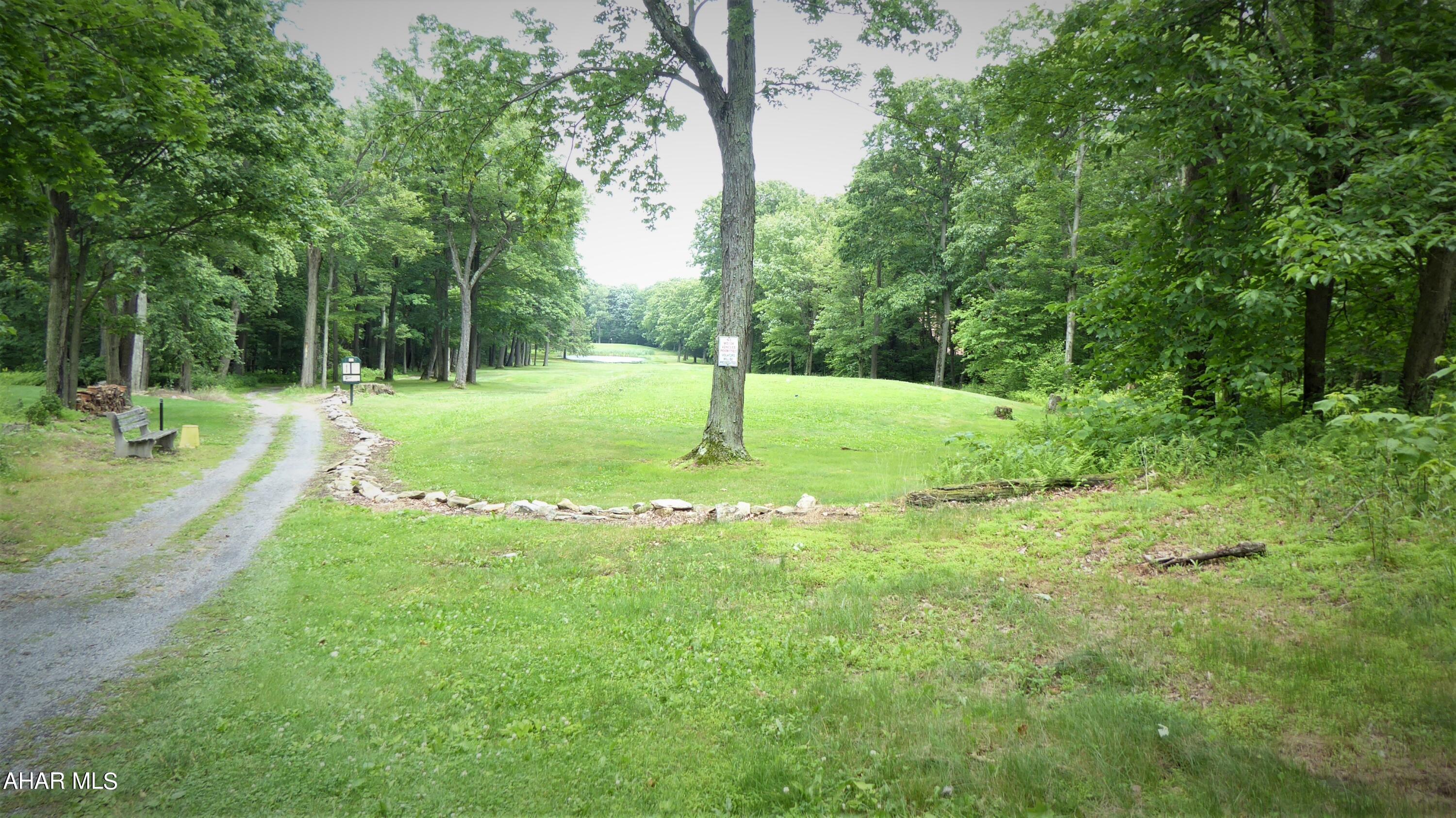 0 Ridge Run Road Claysburg, PA 16625 - Photo 11 of 24