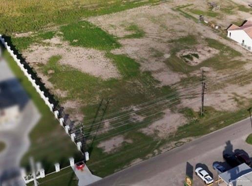 2911 East Alberta Road Edinburg, TX 78542 - Photo 7 of 8 a view of a tree with a yard