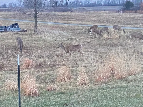 $1,150,000 | 9530 Northwest Caldwell Road, Kidder, MO 64649