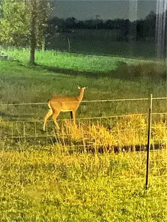 $1,150,000 | 9530 Northwest Caldwell Road, Kidder, MO 64649