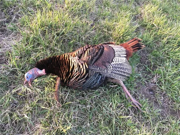 $1,150,000 | 9530 Northwest Caldwell Road, Kidder, MO 64649