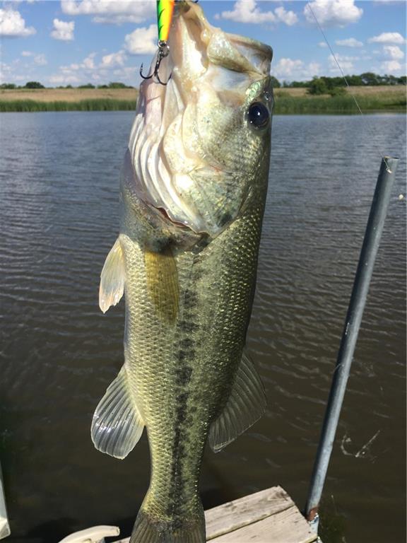 9530 Northwest Caldwell Road Kidder, MO 64649 - Photo 55 of 56