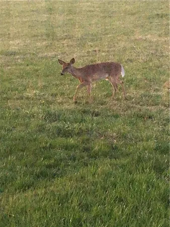 $1,150,000 | 9530 Northwest Caldwell Road, Kidder, MO 64649