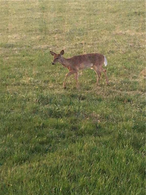 9530 Northwest Caldwell Road Kidder, MO 64649 - Photo 56 of 56