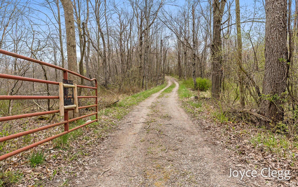 1449 East Kinney Road Custer, MI 49405 - Photo 3 of 52 1449E.KinneyRd-3LoRes