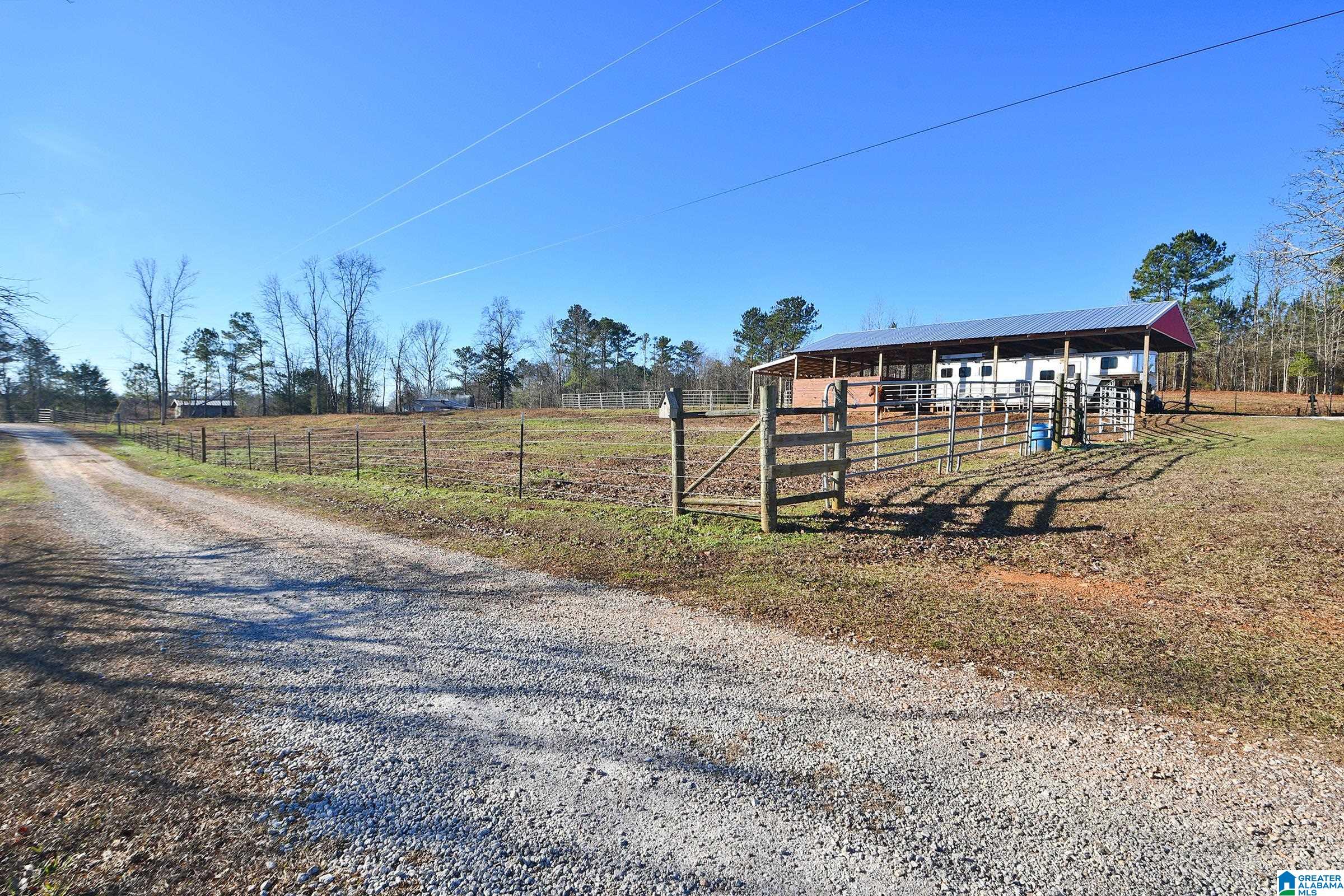 1442 Bluff Valley Road Cragford, AL 36255 - Photo 3 of 66