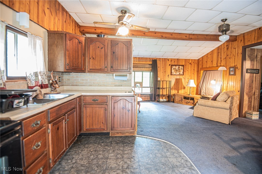 78911 Hamilton Ridge Road Freeport, OH 43973 - Photo 5 of 15 Kitchen with sink, wooden walls, ceiling fan, and dark carpet
